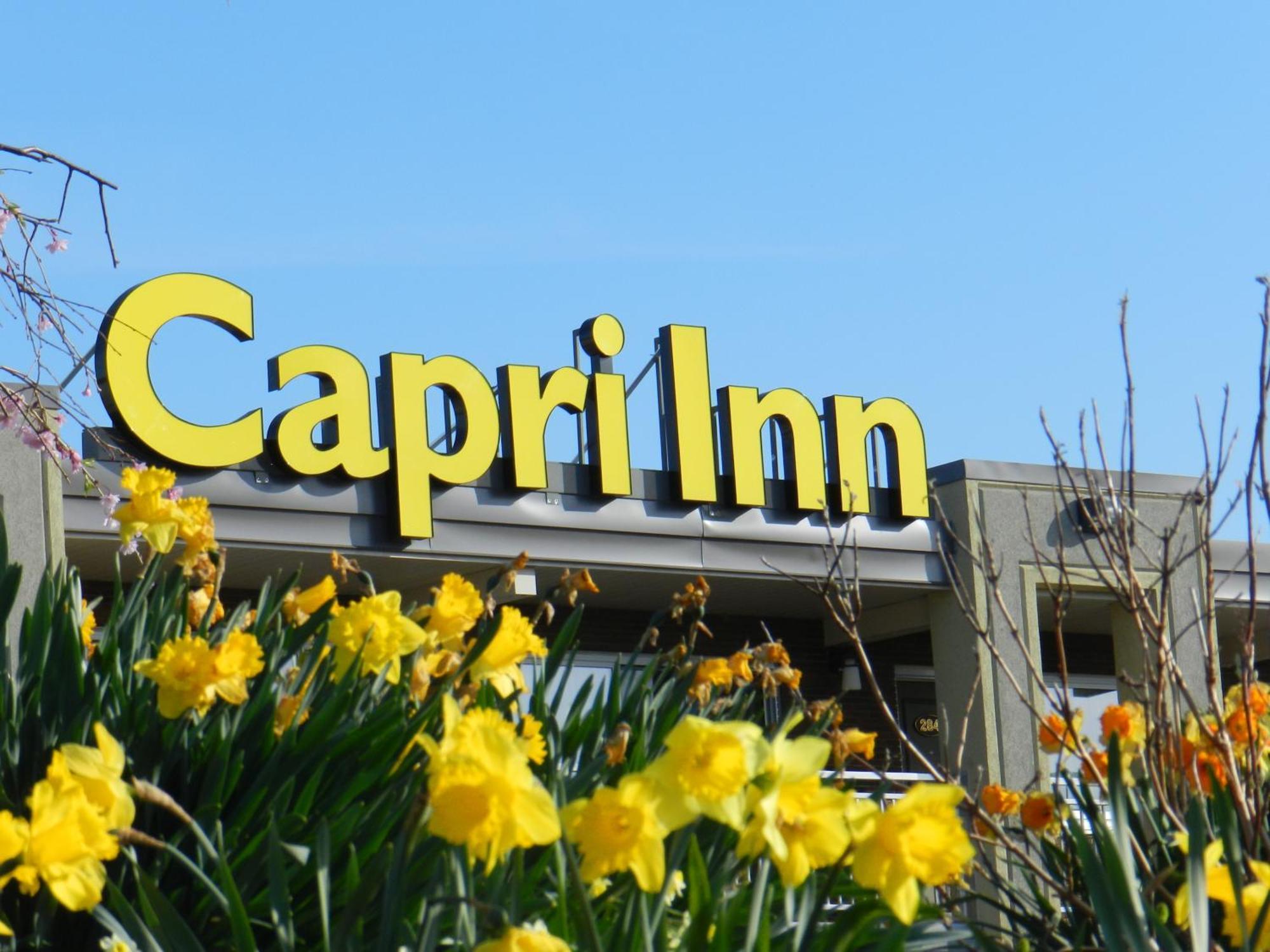 Capri Inn Sainte-Catherine Exteriér fotografie