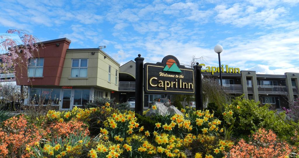 Capri Inn Sainte-Catherine Exteriér fotografie
